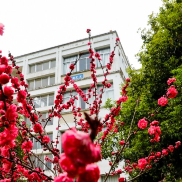 【#2356】25-32k before tax Junior high school Drama teacher in Guangzhou