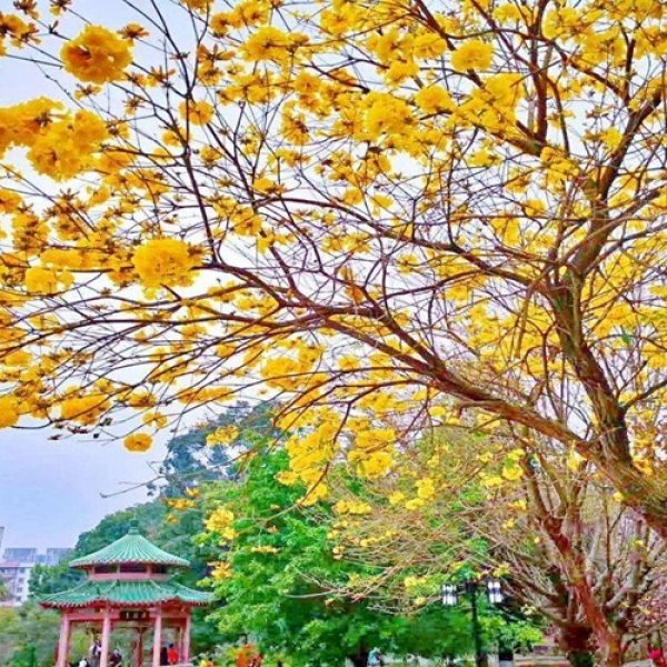 【#1811】27-40k PYP PE teacher in Beijing