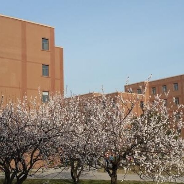 【#1855】25k Primary Literature/English teacher in Qingdao
