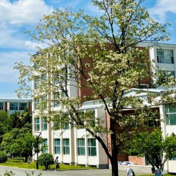 【#2502】14-15k University Foreign Associate Professor (PhD in Education/English) in Jilin